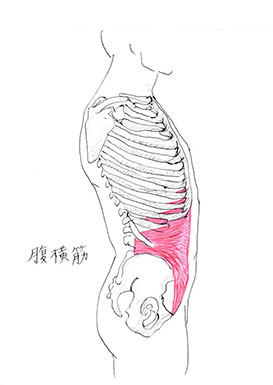 マッサージで治らない腰痛の原因