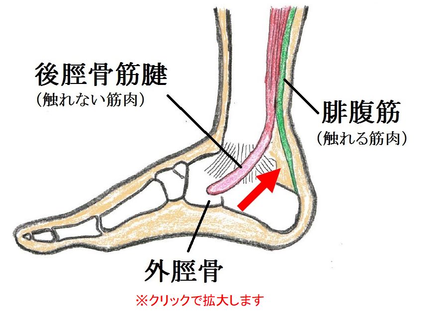 触れない筋肉を緩める