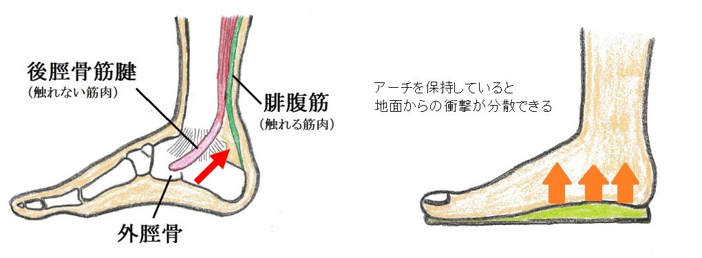 有痛性外脛骨障の治療