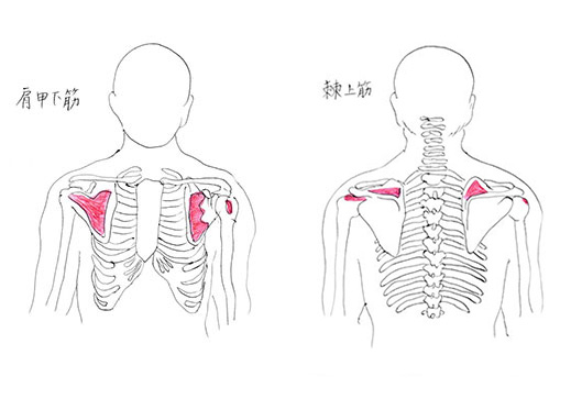 野球肩の原因になる筋肉