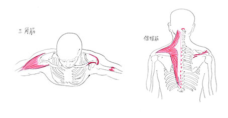 マッサージで触れない筋肉にもアプローチ