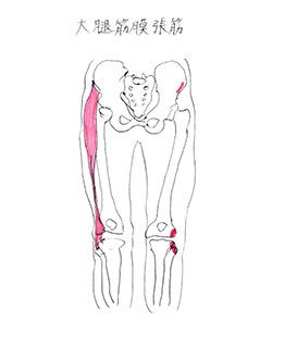 あなたは症状の原因になっている筋肉