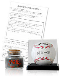 関東一高 甲子園に出場したレギュラーの声